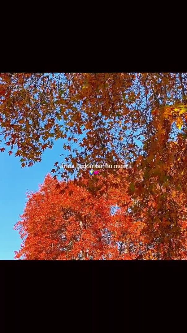 Meri jaan meri dilwar ❤️