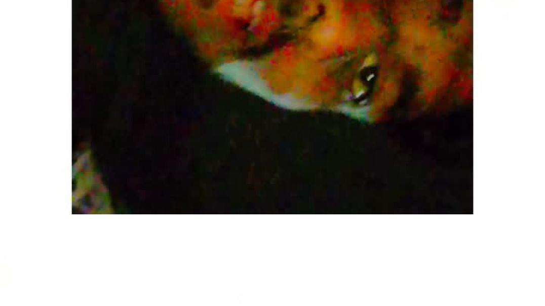 First funny vlog😂