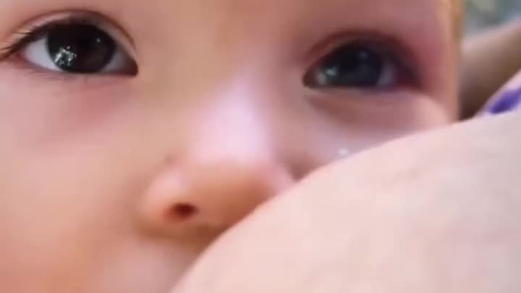 dingwithoutfear breastfeedingphotography