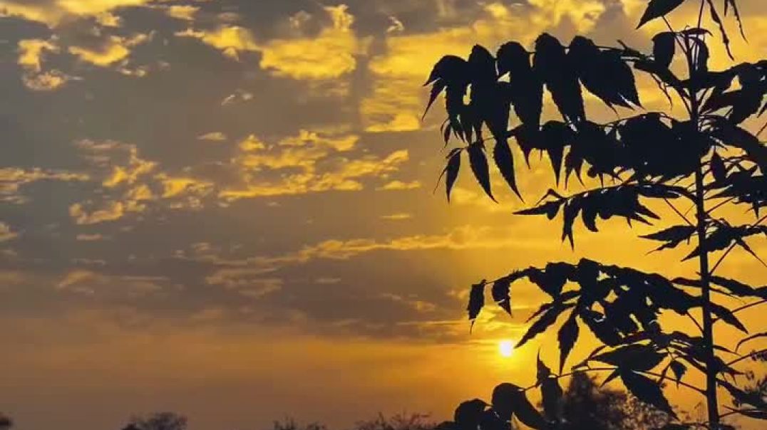 1766462908443593expMp4