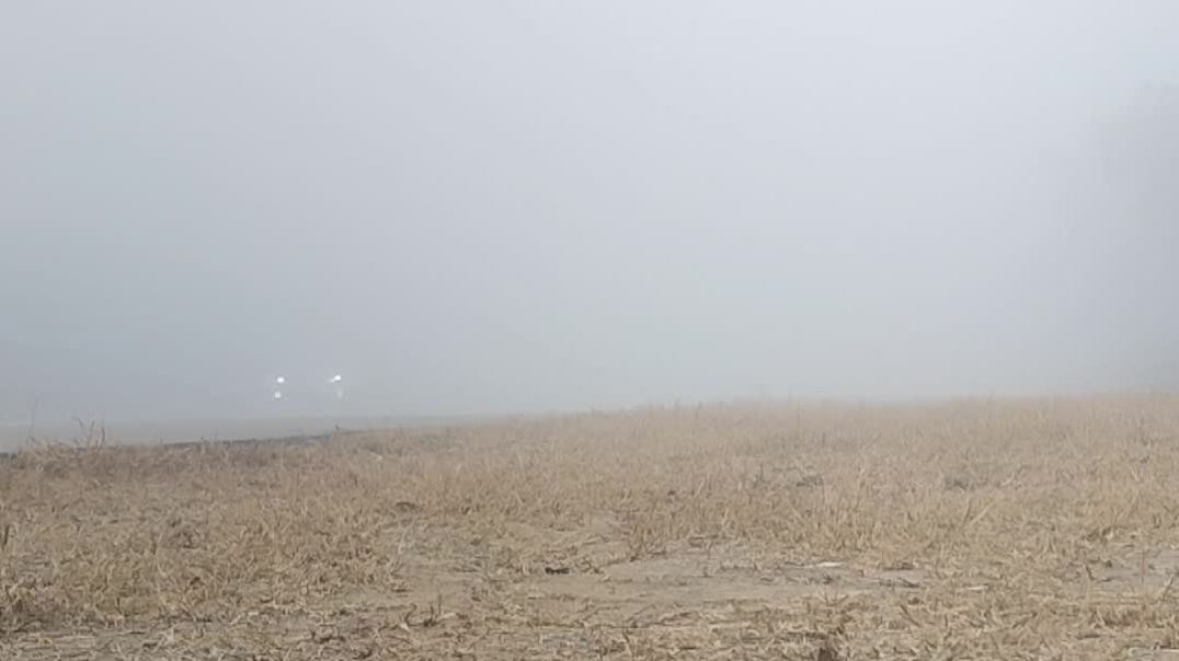 ⁣Sunday ka morning workout ⚡💯🔥📈