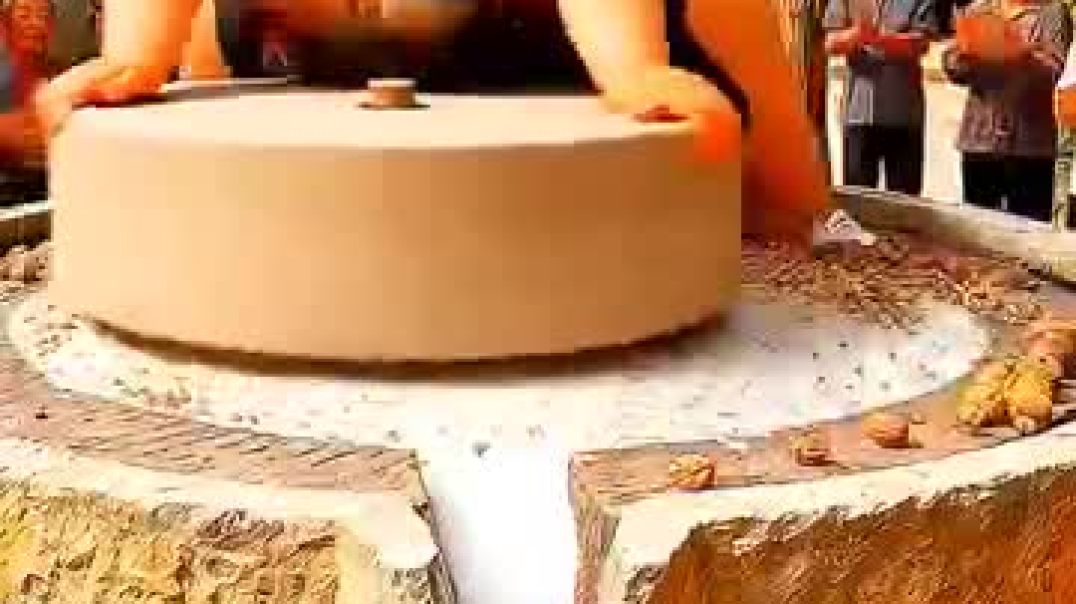 ⁣“Jamun_to_Walnut!_🫐🌰_Our_Dog_Became_Washing_Machine!_🤣_#funnyshorts_#juicechallenge(360p)