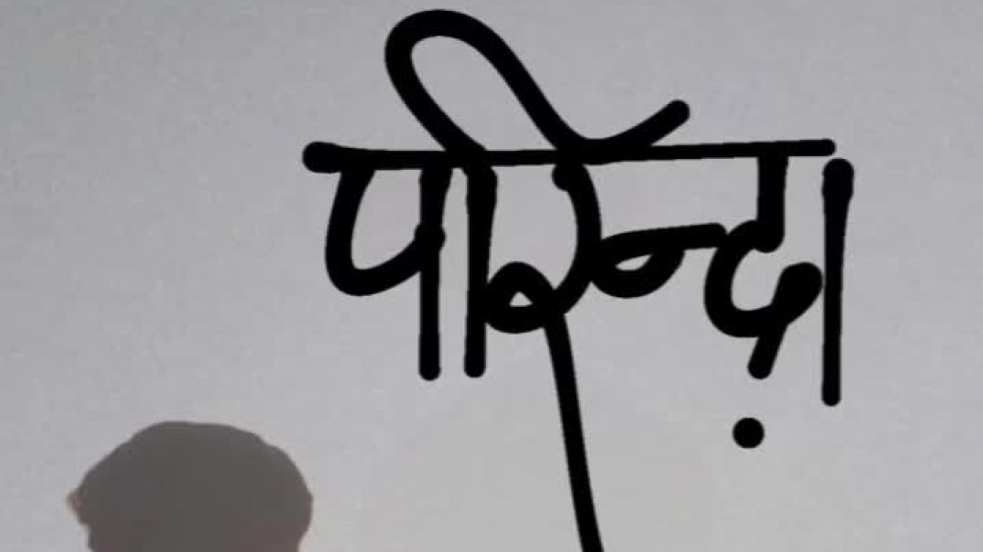 VID_20241226_024714_890