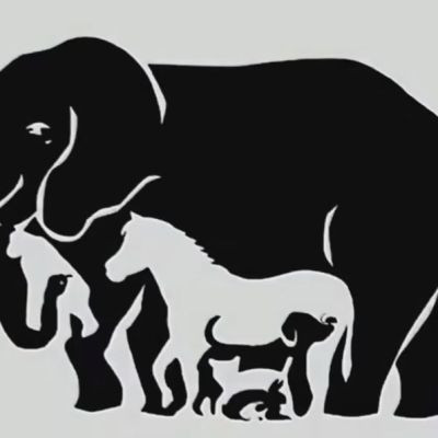 108452973928332744465 