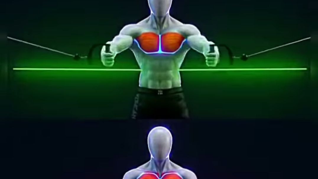 VID_20251216_183847_775