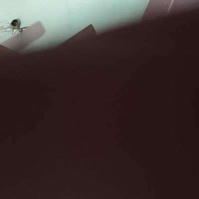 112564146237488180401