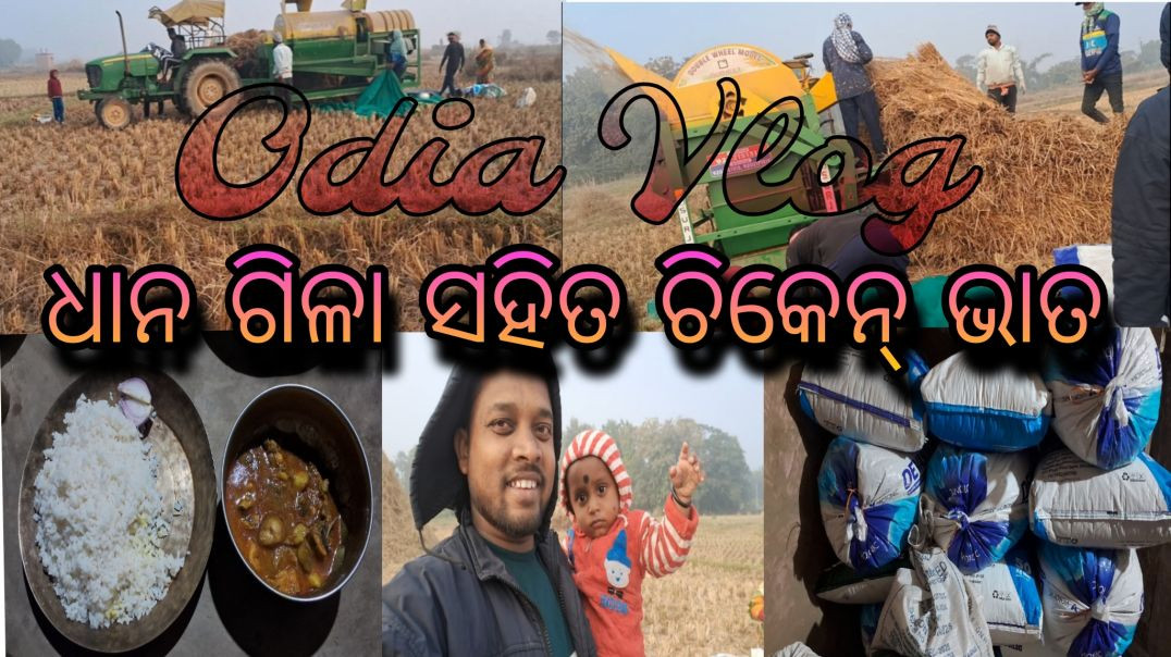 ⁣Odia vlogs// ଧାନ ଗିଳା ସହିତ ଚିକେନ୍ ଭାତ