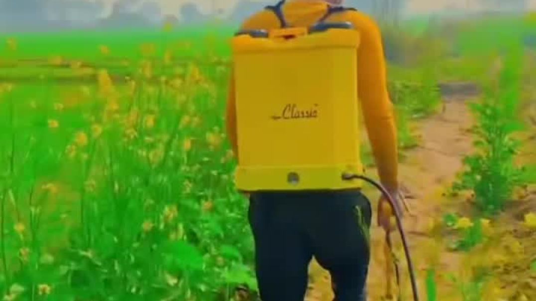 VID_20251207_201523_760