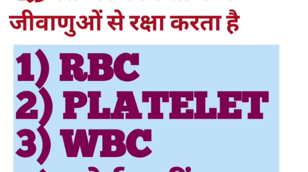 video_20251214_033355_edit