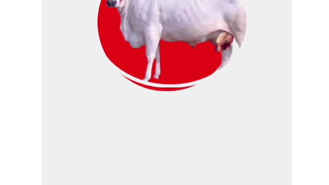 ⁣ताजिकिस्तान के राष्ट्रपति ने ऐसा क्या कहा दिया "कुरान " पर , पूरे विश्व की निगाहें उन पर ट