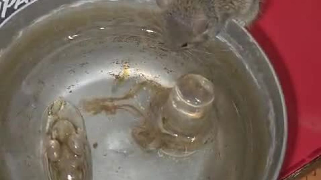 ⁣Please subscribe my channle #short