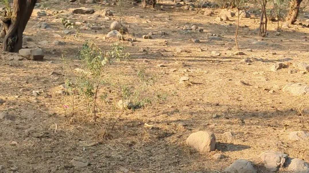 PXL_20251225_100940140