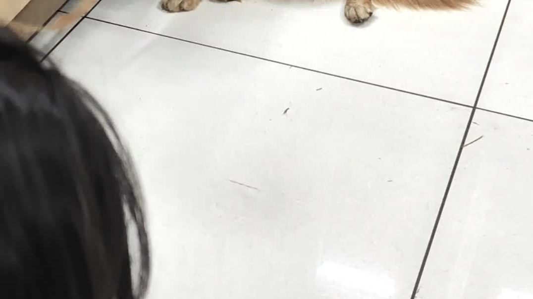 ⁣Bittu mettu masti