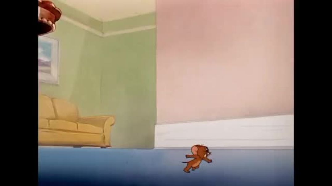 ⁣Tom And Jerry Cartoon Video
