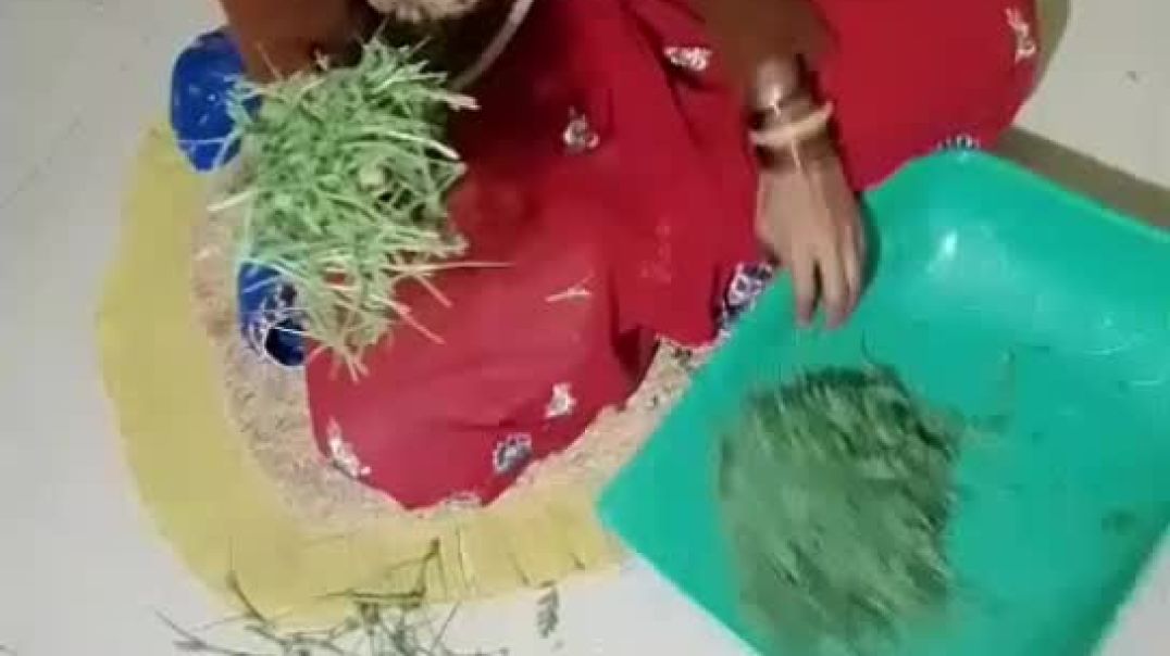 ⁣देहाती सब्जी 😔🥰