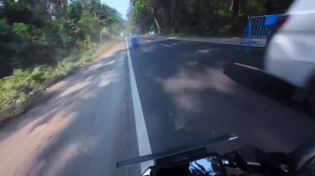 ⁣black_beast_beaut-20251210-0001