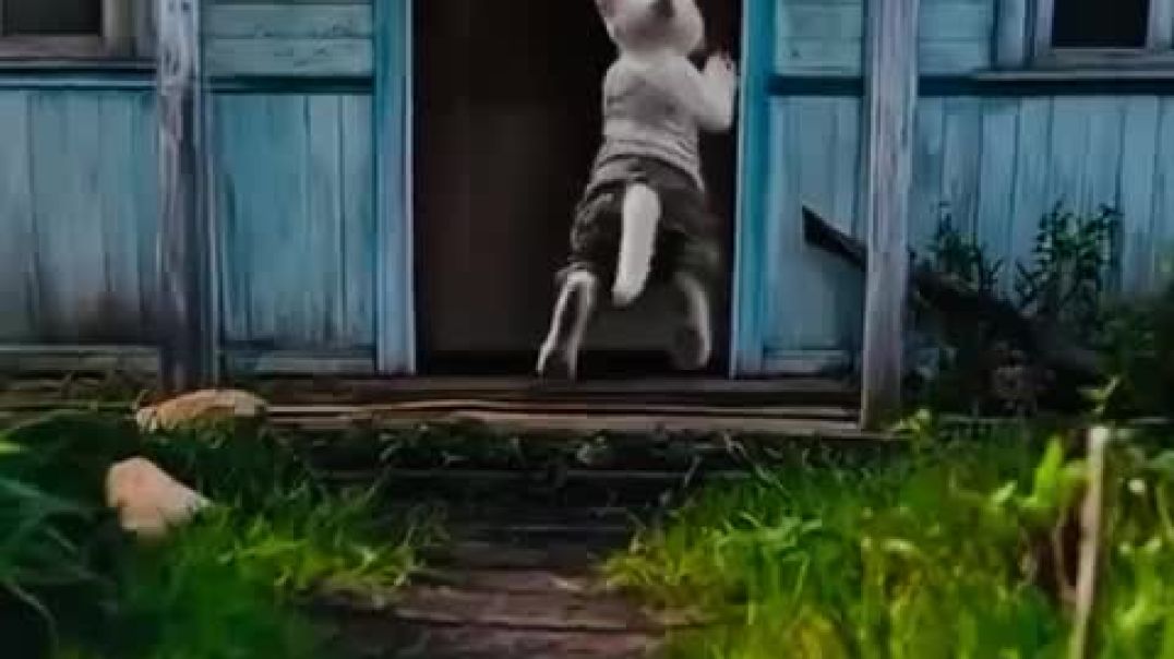 ⁣VID-20251205-WA0001