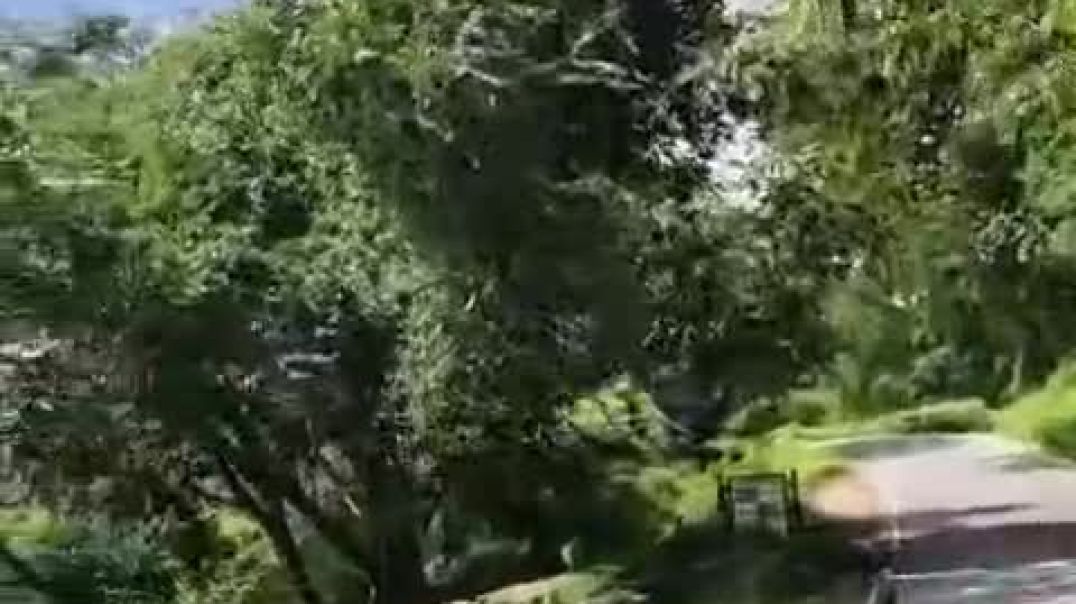 ⁣VID-20251009-WA0015