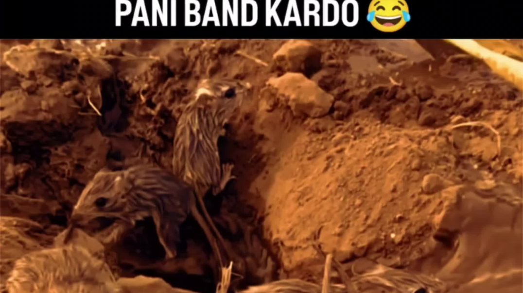 ⁣oye motor band karde oye 😜🤪🤣 #shorts #funnyclip #trending