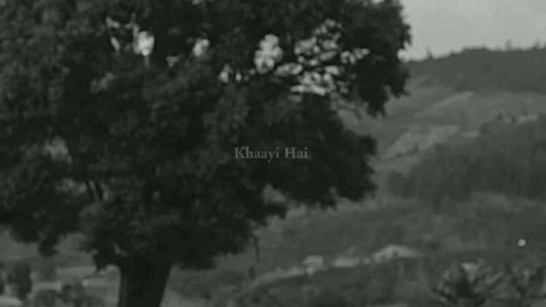 VID_20251208_095024_236