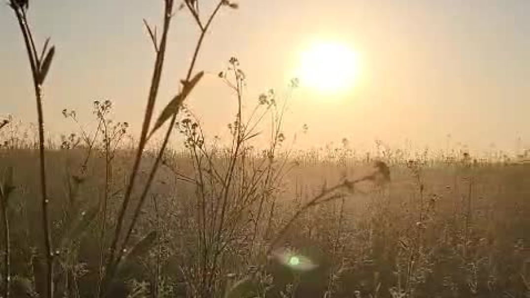 ⁣गांव का सूर्योदय