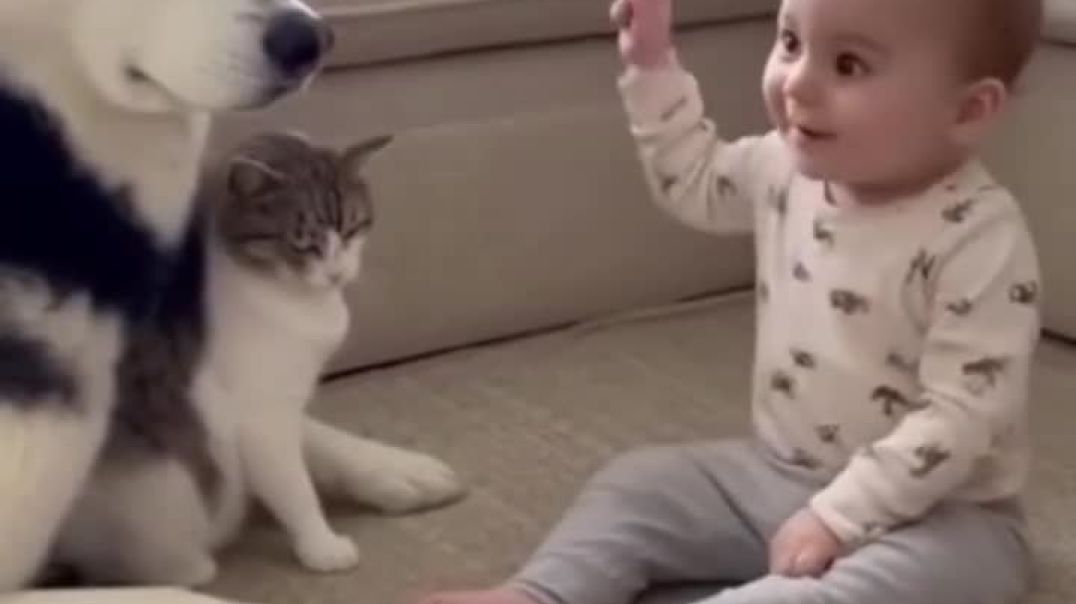 ⁣Funny baby cat video 😂🤣😅