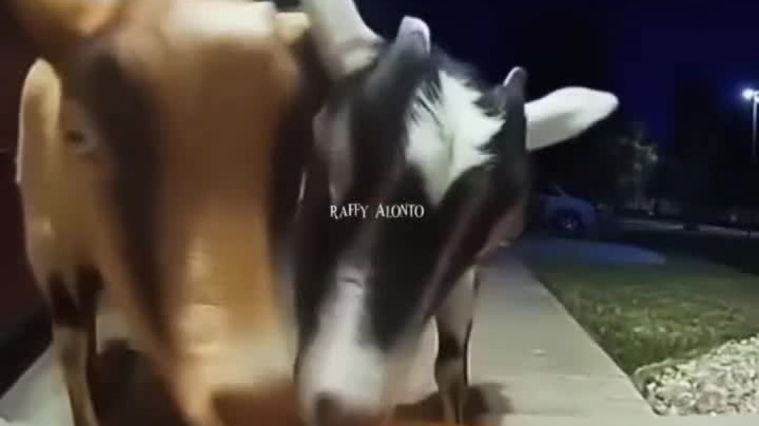 ⁣Thanks+For+45+Million+%F0%9F%99%8F%F0%9F%99%8FMKB+AAG%F0%9F%94%A5%F0%9F%98%82%F0%9F%92%80%0A%E6%97%A