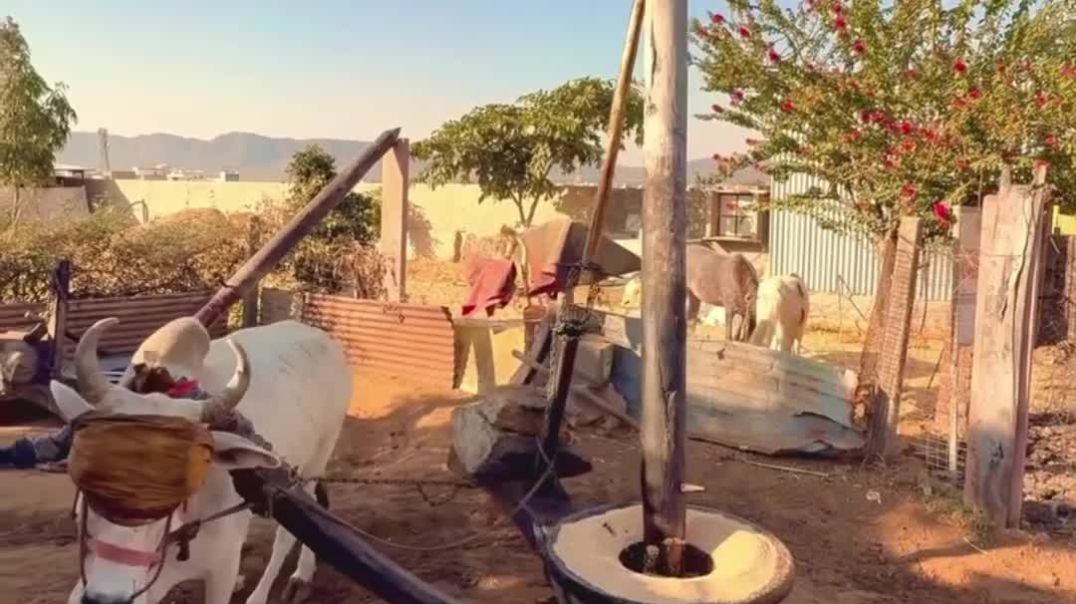 InShot_20251214_080610785