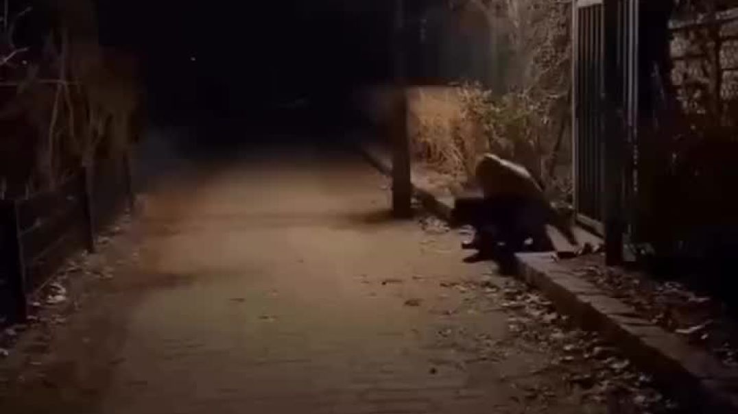 ⁣elevenxfix-20251212-0005