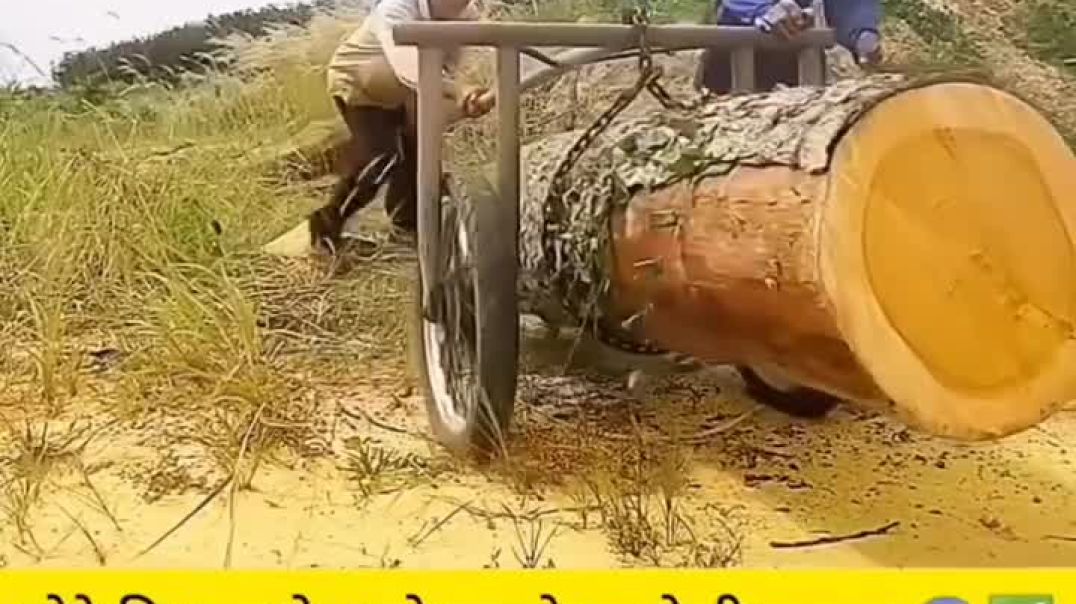 ⁣लाकूड उचलायचा जुगाड