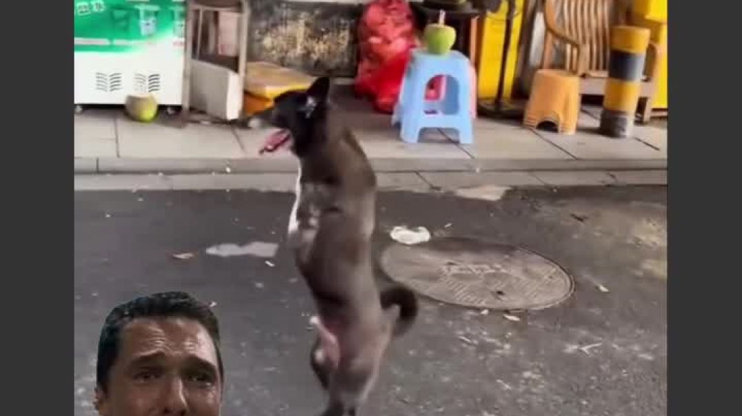 ⁣Please is kutte ko maja karo please bhai mujhe bhi support karo