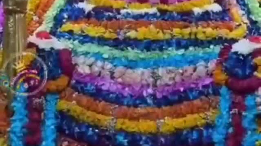 video_1765359001600