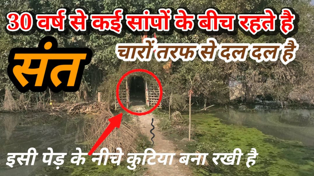 ⁣तीस वर्षों से संत इसी पेड़ के नीचे कुटिया बना कर रह रहे है