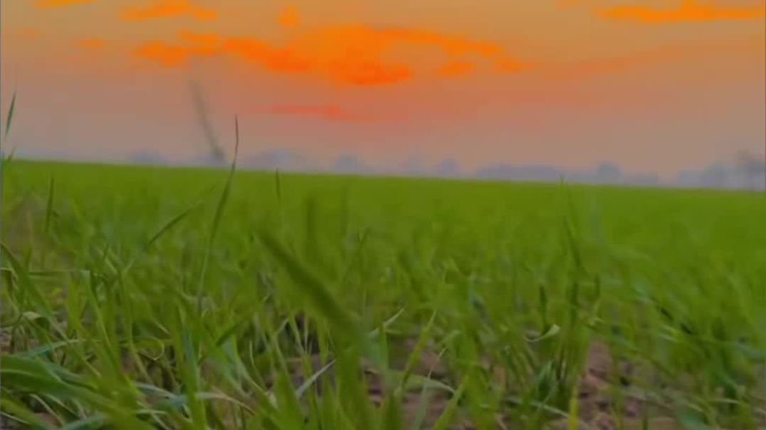 ⁣farming _life_struggle