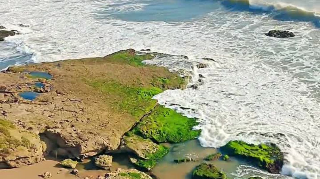 VID_20251114_064504_158