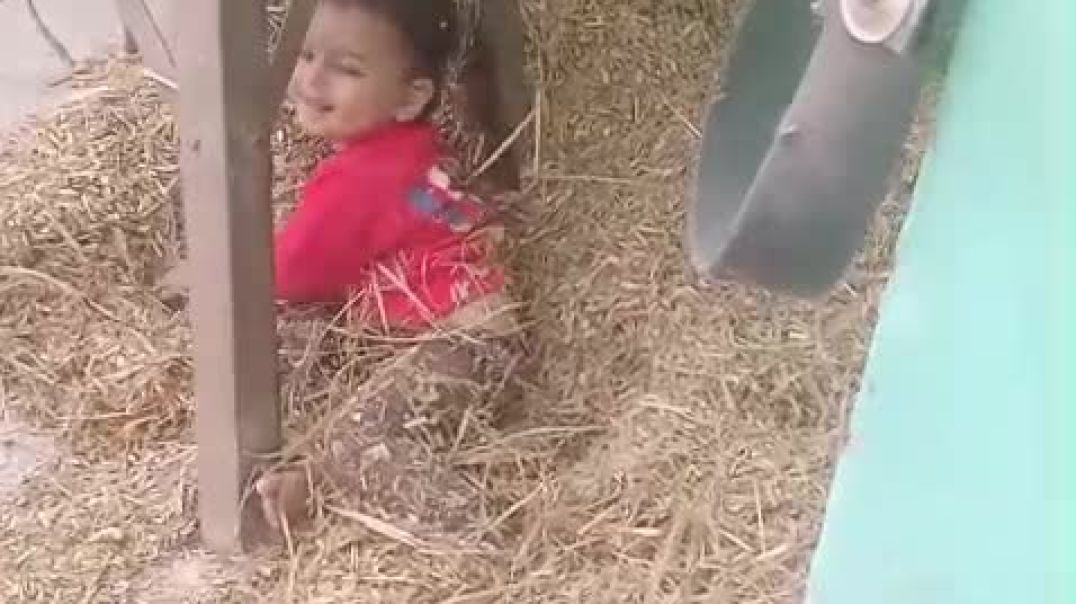 ⁣Injoy this child 🤣🤣🤣