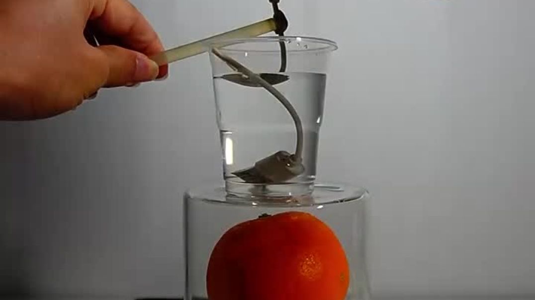 ⁣Tesla coins experiment 😯🧪🥼