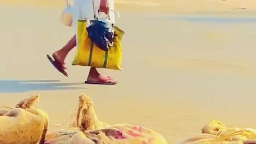 ⁣Comedy video funny 🤣 Jone Banega Don