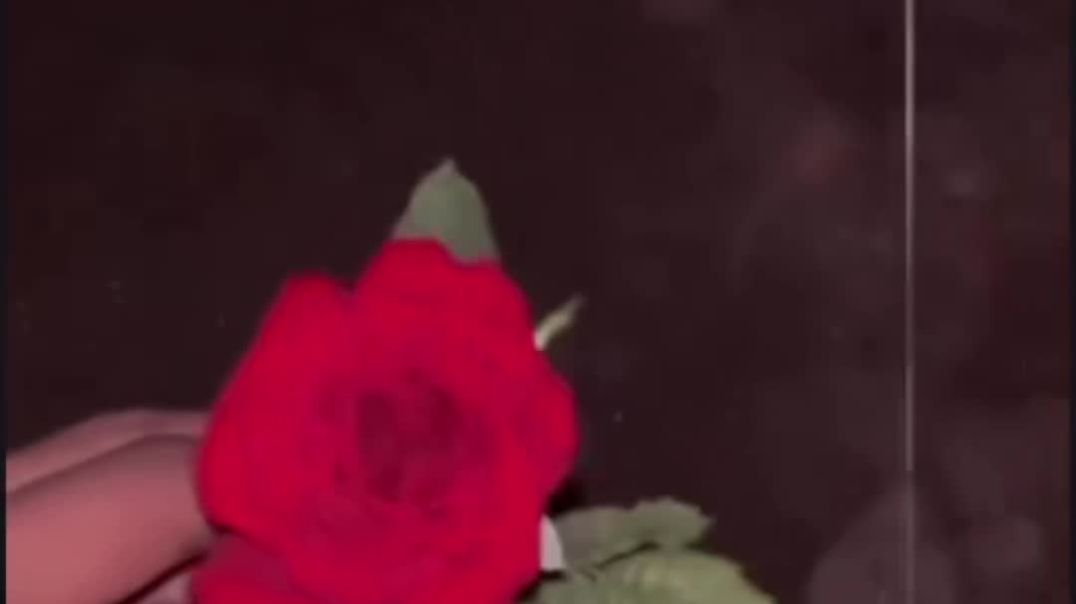 VID_20251204_222149_276