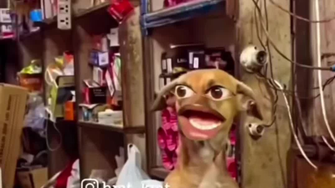 VID_202512075314_054