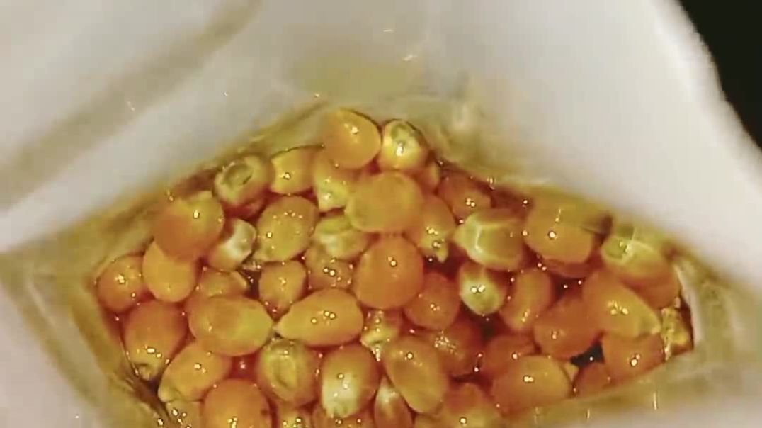 ⁣pipo cheese burst popcorn