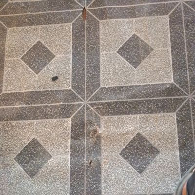 100191570073551695686