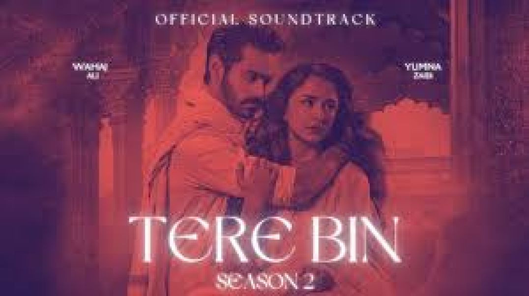 ⁣Tere Bin [ OST ] ft. Yumna Zaidi, Wahaj Ali | Shani Arshad | तेरे बिन OST