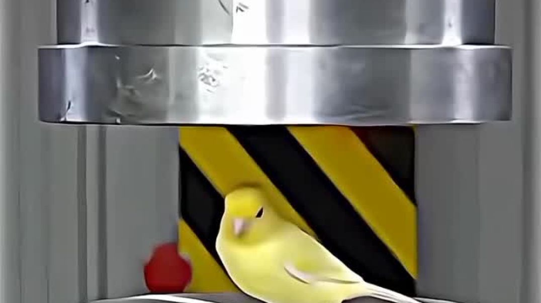 ⁣Funny video clip 😁😂