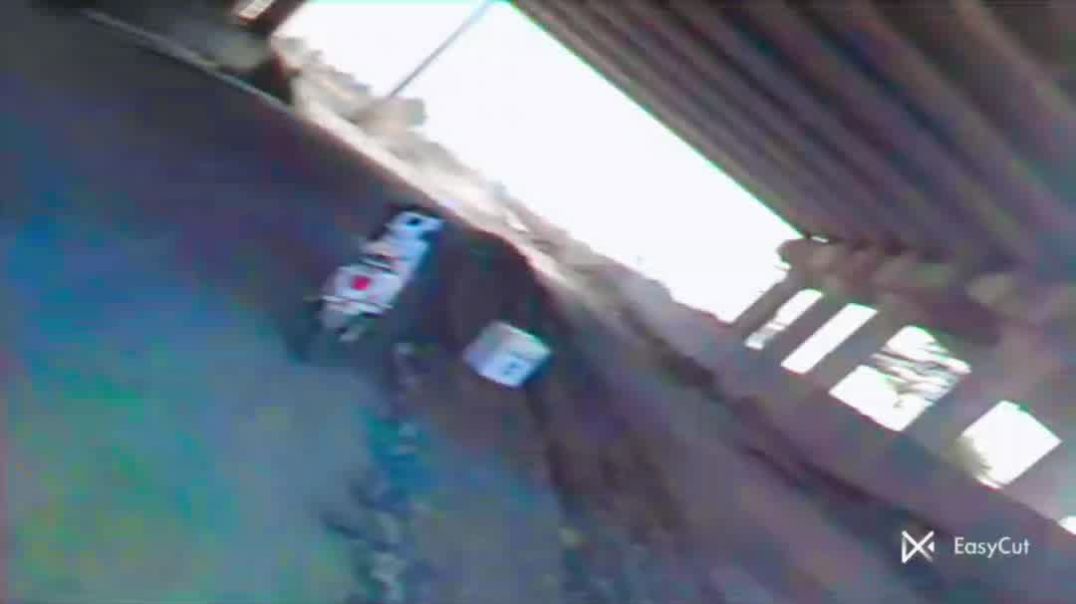 VID_20251224_073013_648