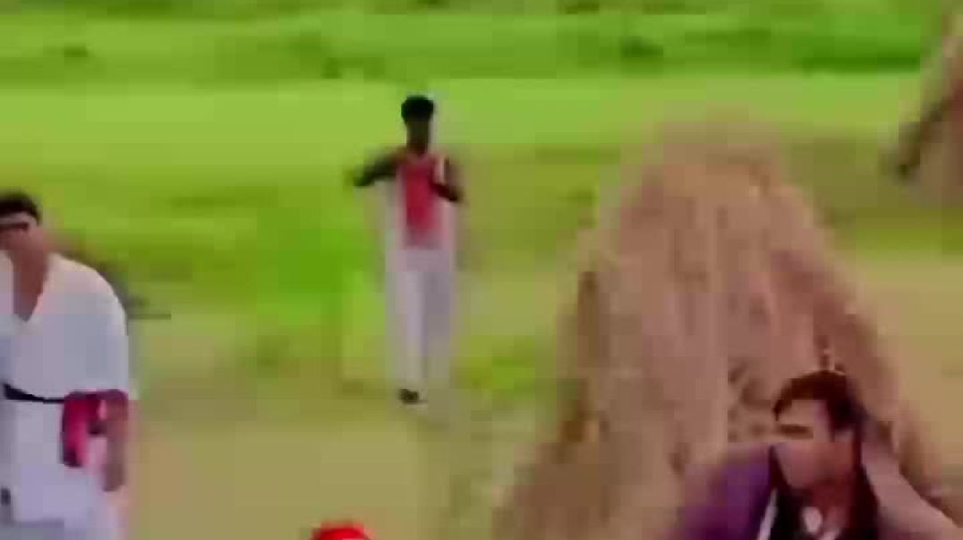 VID_20251212_044606_091