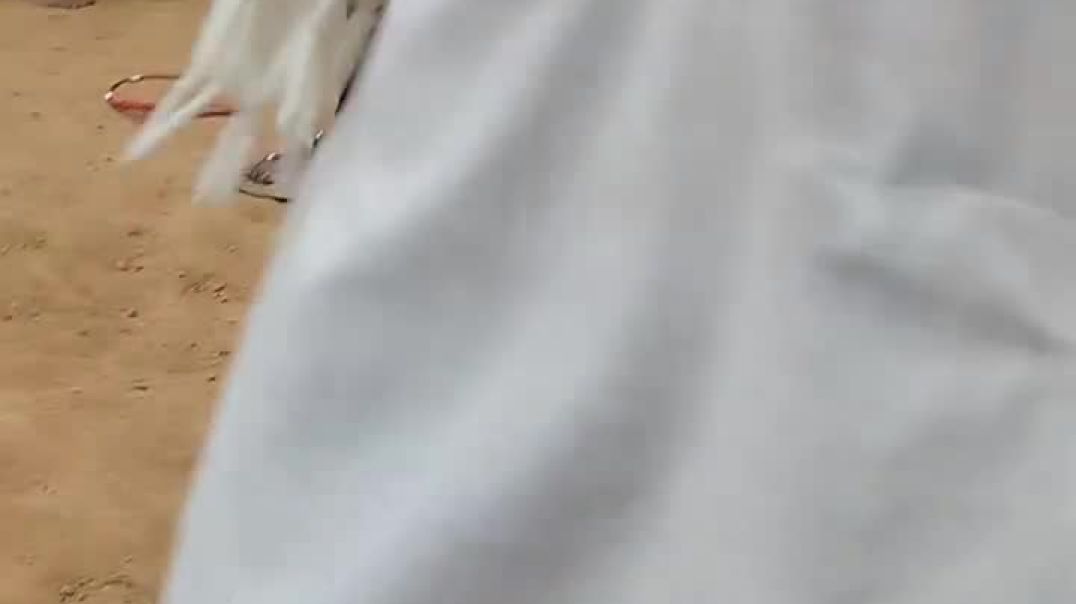 Kpsg वीडियो 💐💐💐