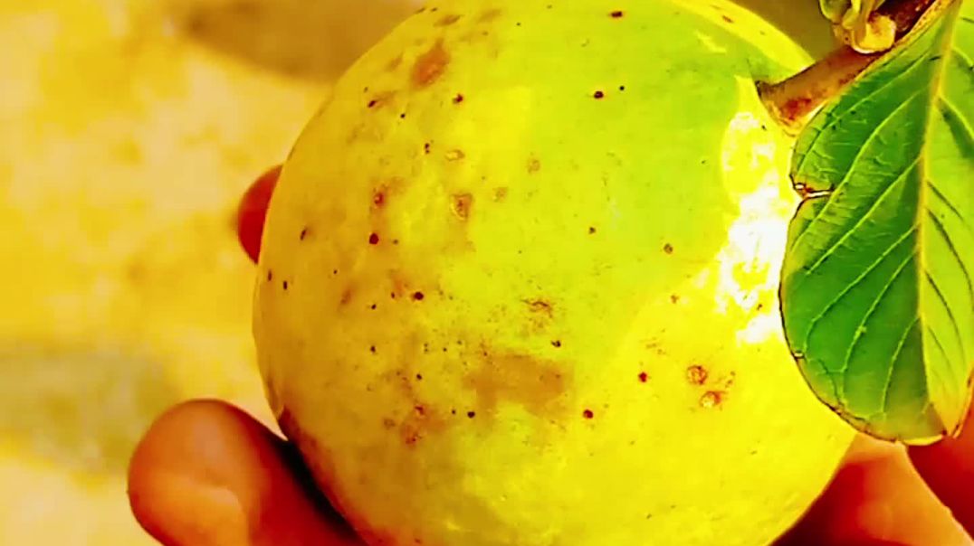 ⁣MINI VLOG DAY 18 OF 365