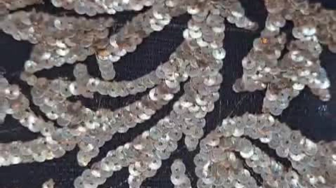 ⁣Sequence embroidery