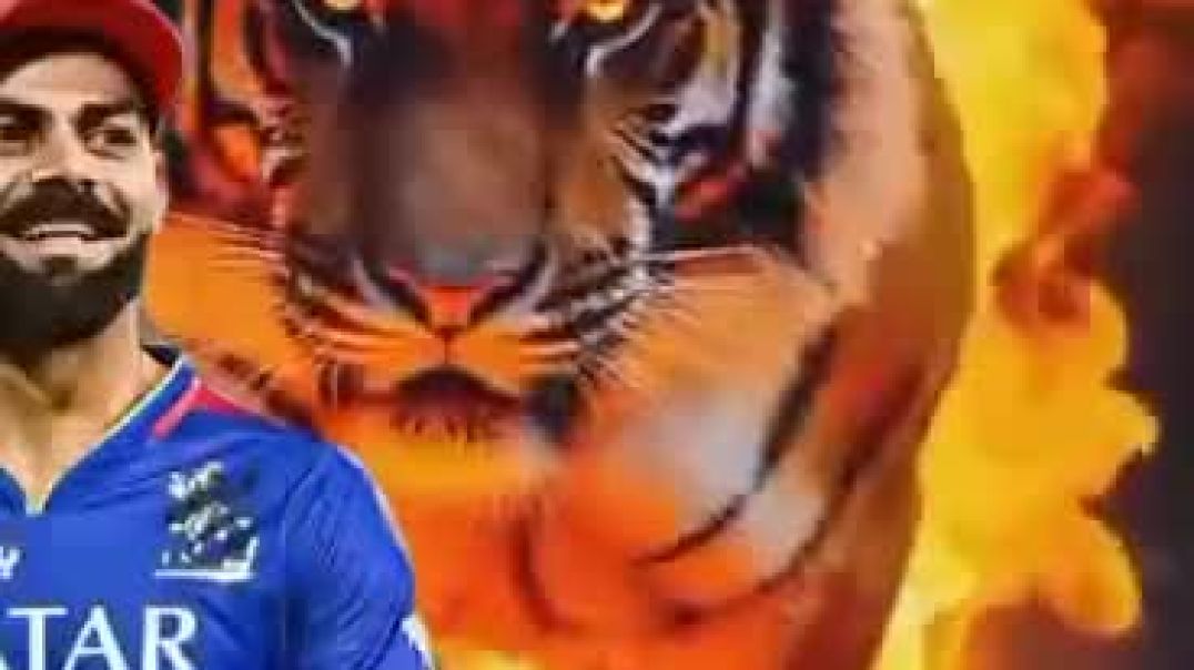 mAst_vvcvideo_1765117060387